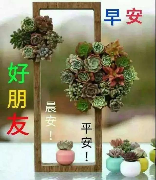 给朋友的早安心语每日一句经典,发给朋友每天正能量的一句话早安