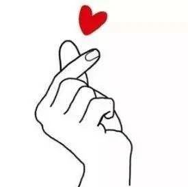 营养猫粮罐头怎么选购,猫粮推荐之五大猫罐头