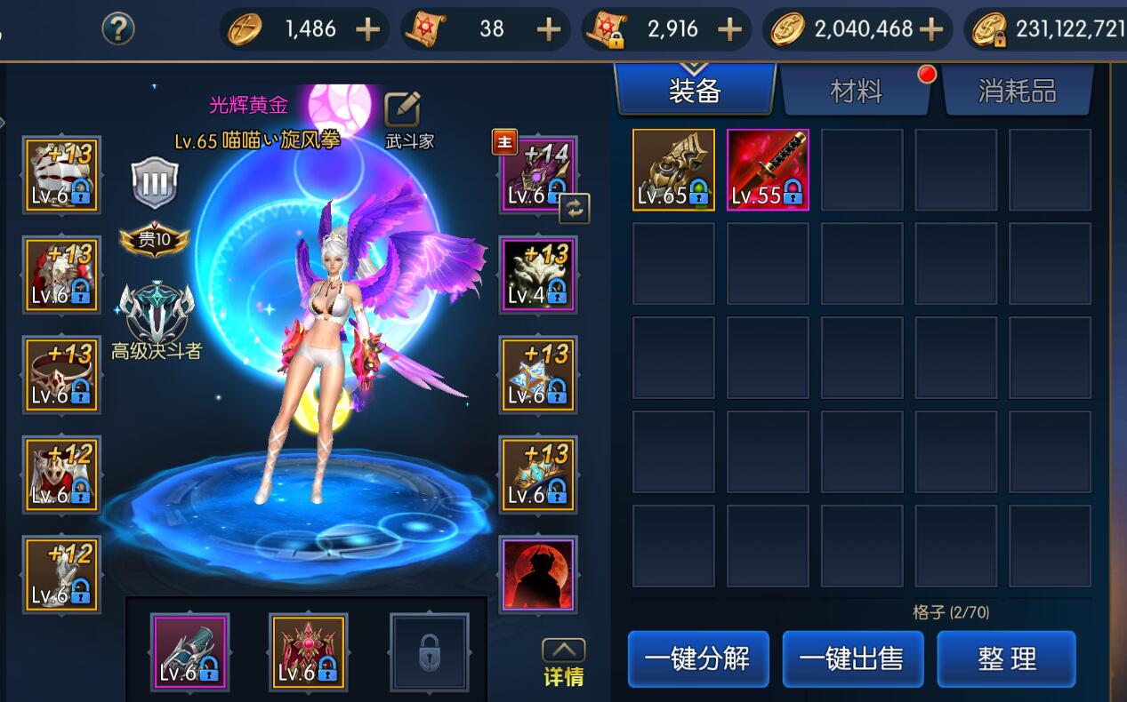 盗版被玩成正版了?阿拉德之怒号比DNF还值钱,14*器武**卖出6700块