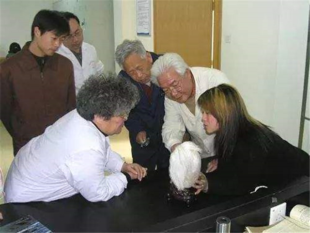 长满白发的石头,长白发的石头鉴定视频