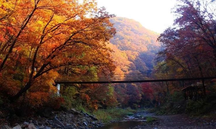 沈阳冬季一日游最佳去处,沈阳本溪自驾看枫叶去哪里