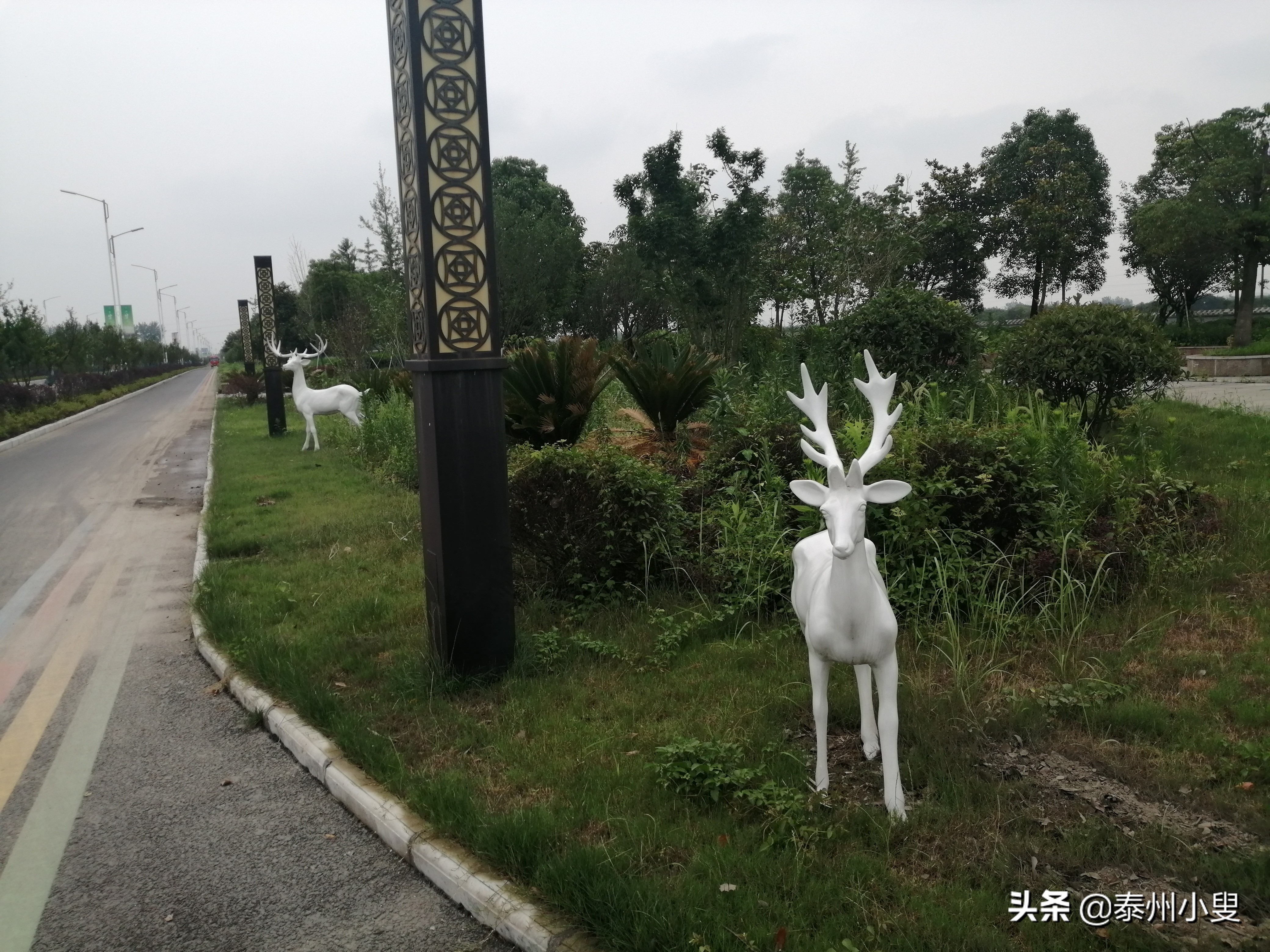 麒麟山绿道骑行,骑行路线麒麟区