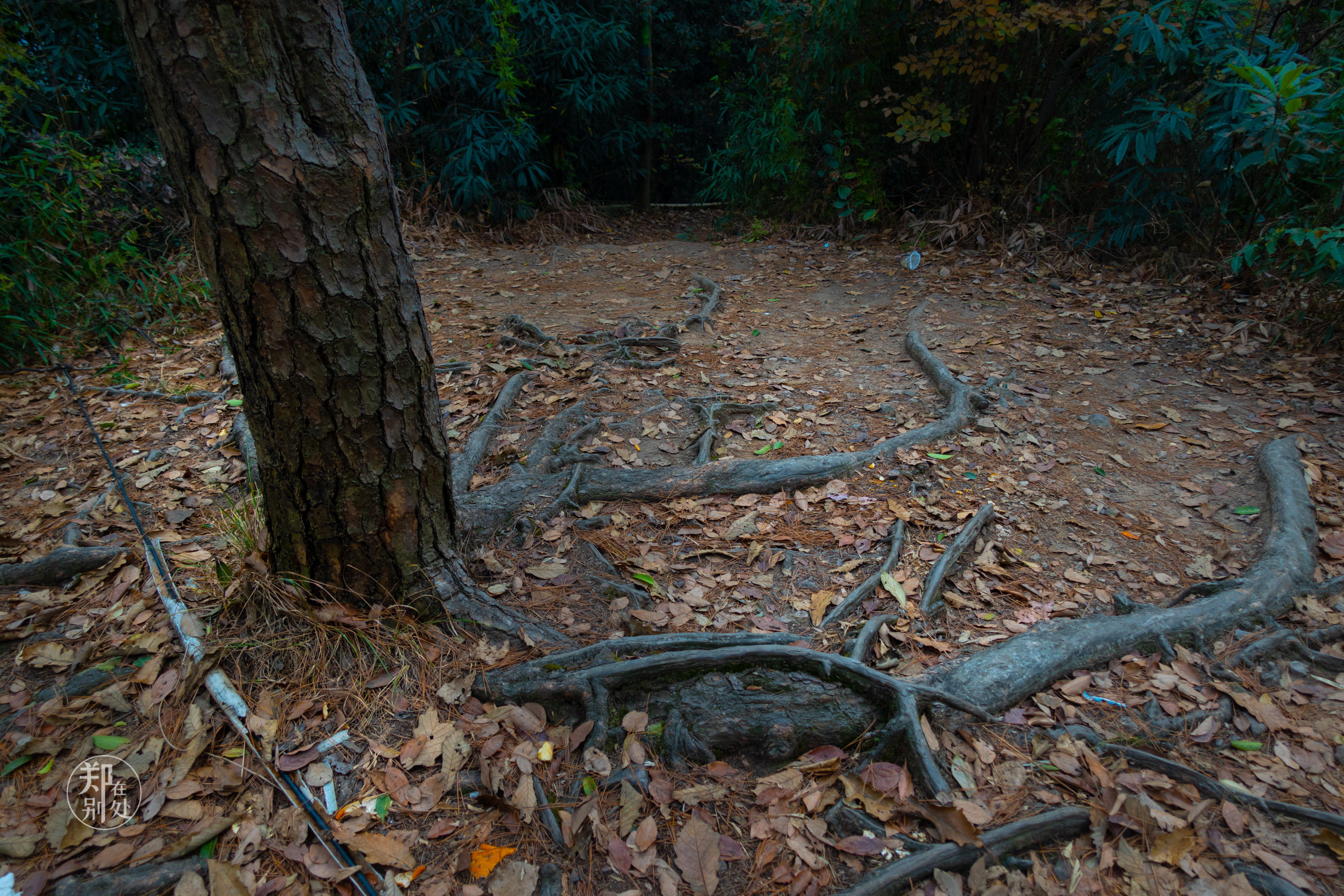 杭州登山徒步经典路线图最新,杭州登山路线