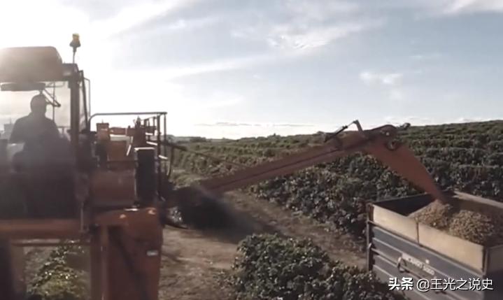 巴西还能崛起吗,巴西为什么不像美国一样发达