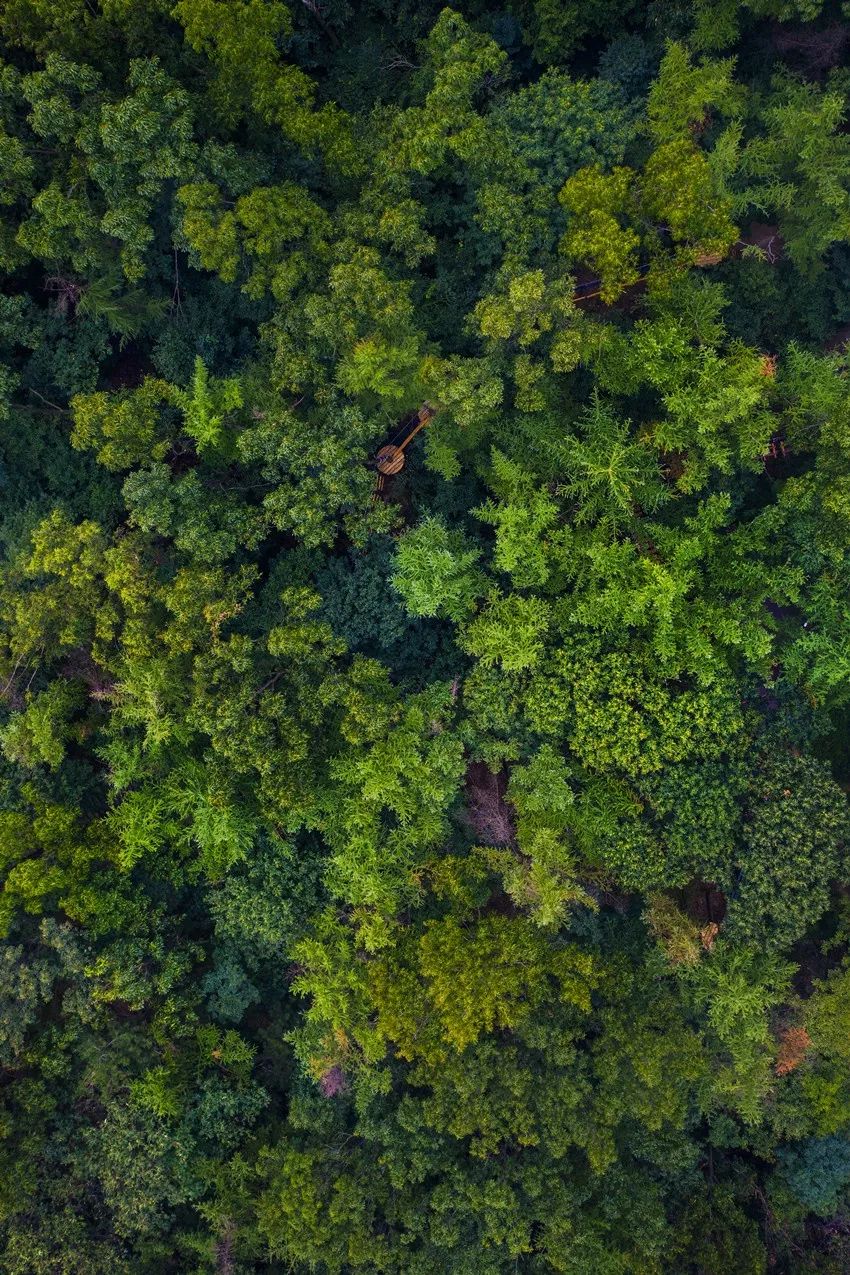 山东这五处绝美景区，藏着的不仅仅是诗与远方，还有……