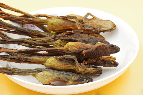 纯天然雪蛤图片,东北雪蛤红肚皮和黄肚皮