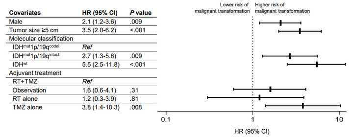 胶质瘤四级从开始就是四级吗,胶质瘤二级会不会升三级