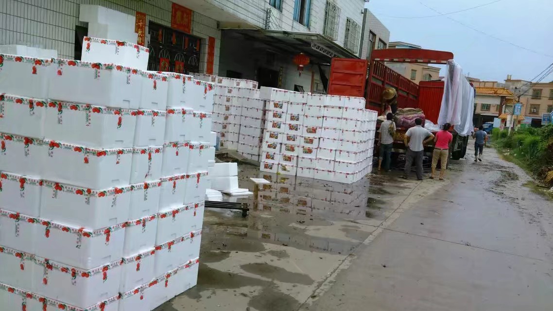 高州市根子镇荔枝出售,高州根子哪里荔枝好吃