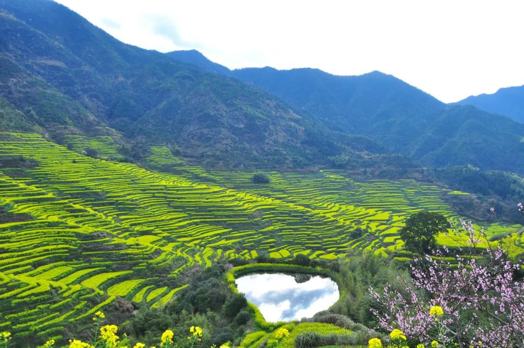 这才是中国最美的乡村,最值得去的鲜花小镇