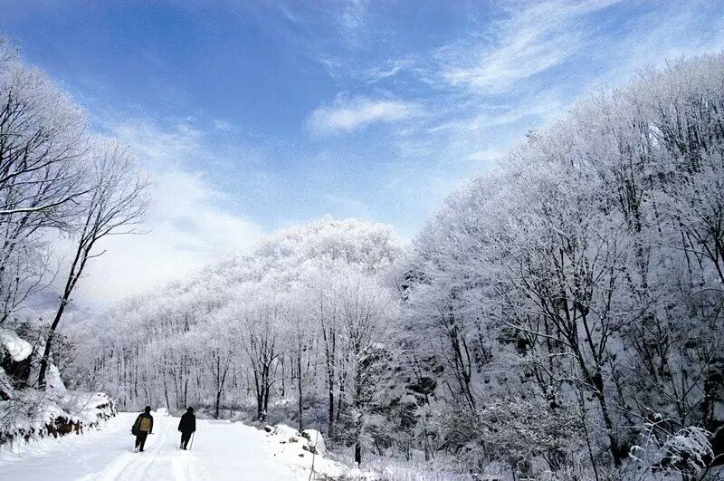 雪乡雪谷三日游,中原看雪旅游的地方