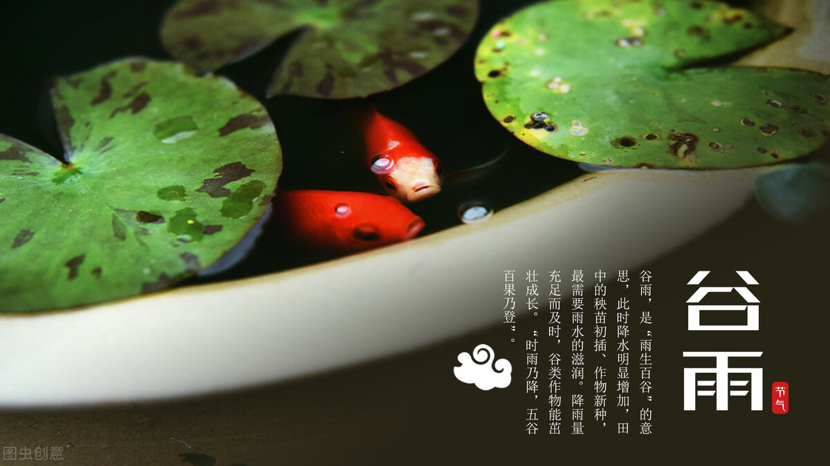 谷雨吃什么传统食物,谷雨前应季蔬菜有哪些