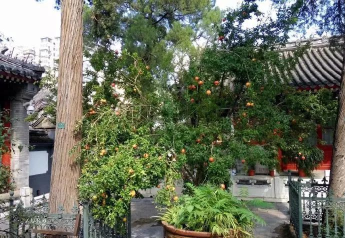 牛街属于南城吗,牛街名字的由来