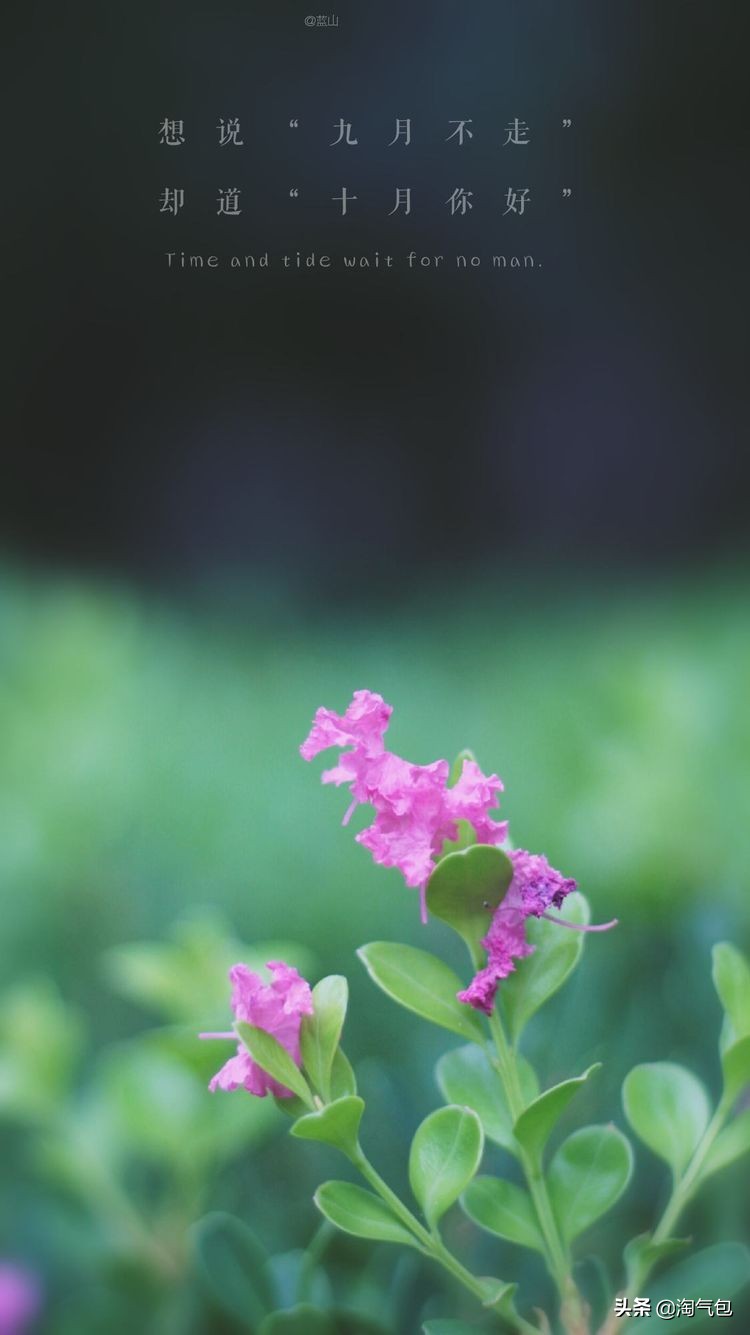 秋分愿生活恰如其分,人生恰如秋分生活恰如其分