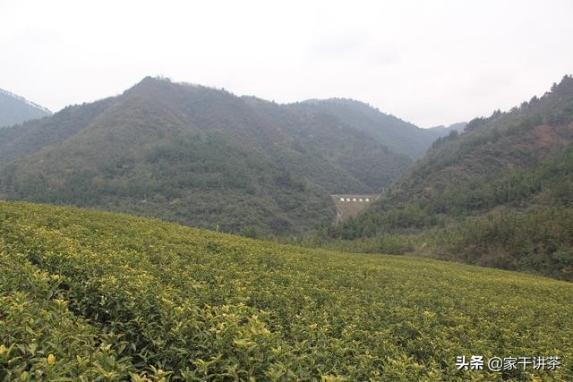 胡继承贵州,贵州胡继承