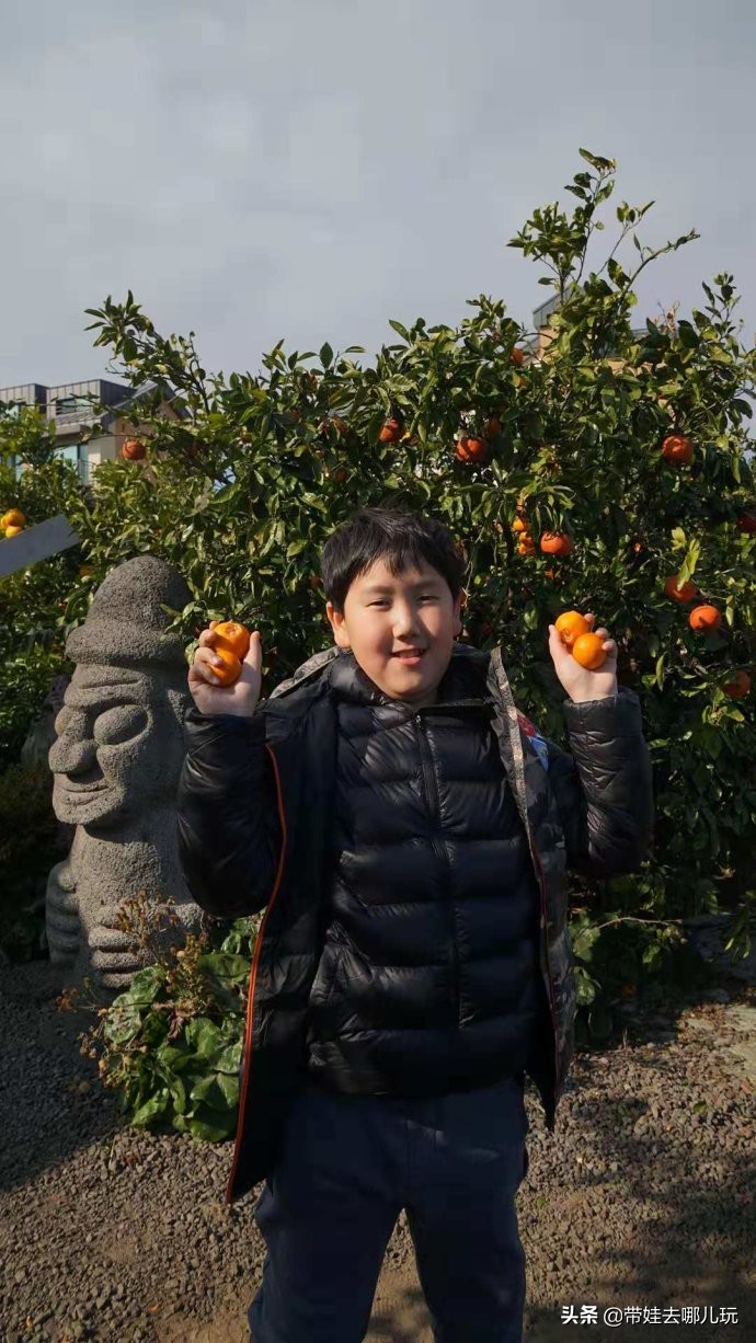 5天小长假国内飞海外,小长假出境游