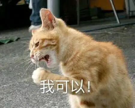 故事告诉你区块链究竟是什么,区块链是什么玩意儿