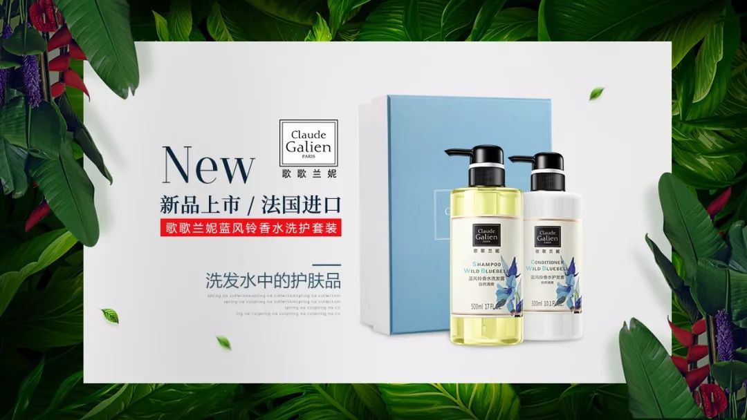 歌曲闻香识女人变调,闻香识女人兰妮