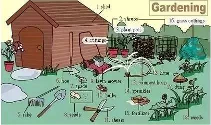 36张图片揭露生活,36张图记住英语生活用词