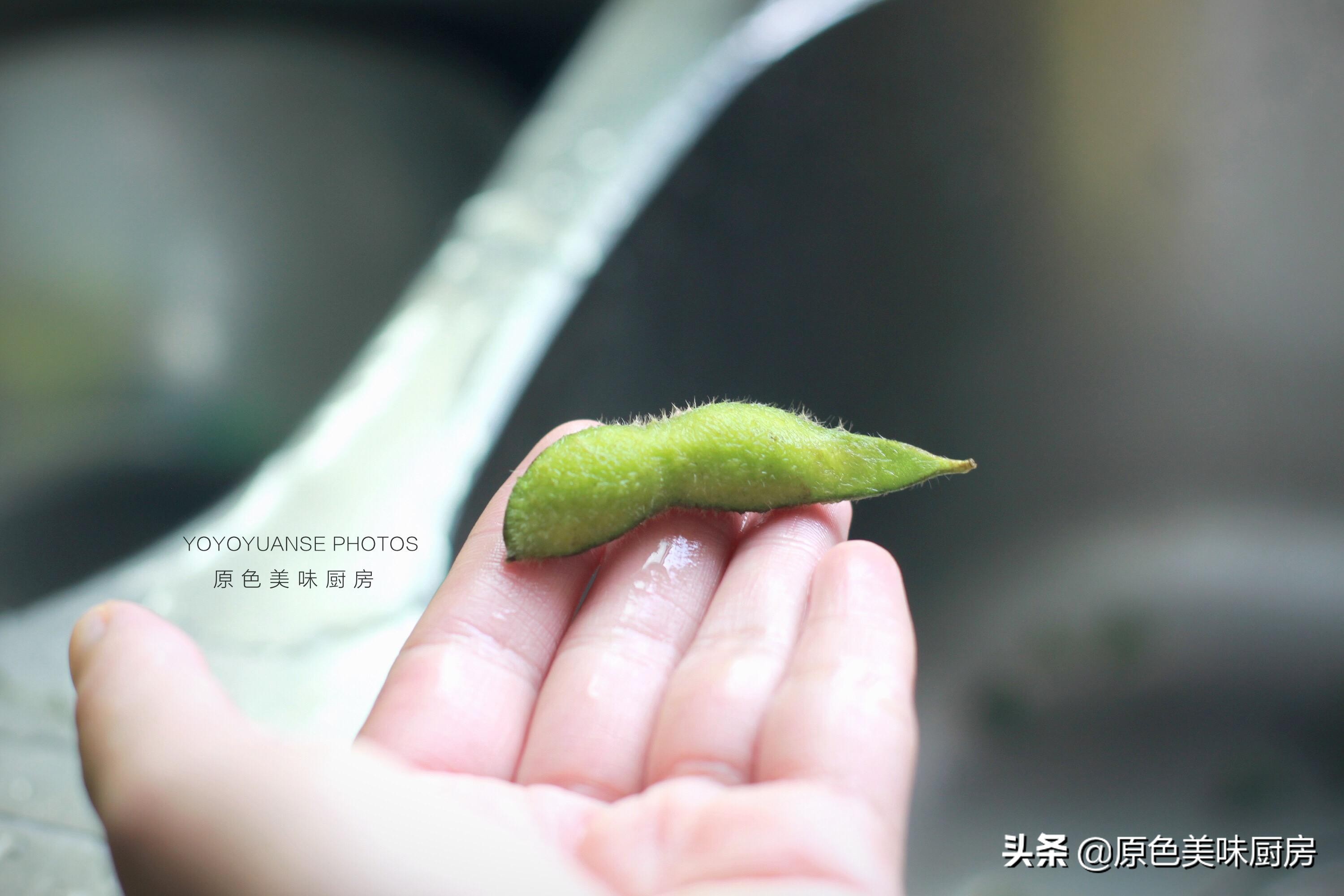 正宗卤毛豆的做法大全,卤毛豆的做法摆摊配方