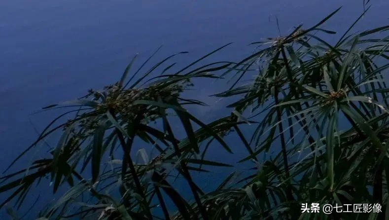 七工匠12mmf2缺点,七工匠12mmf2.8拍星空