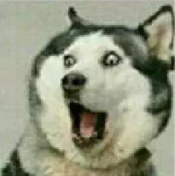 女人在生活中比较尴尬的问题,女人生活中遇到的尴尬时刻