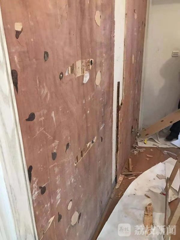 住小区楼层低有各种虫子,小区房子大面积出现虫子