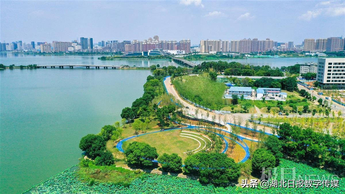 涓崡璐㈠ぇ鍗楁箹缁块亾,璐㈠ぇ鍗楁箹缁块亾