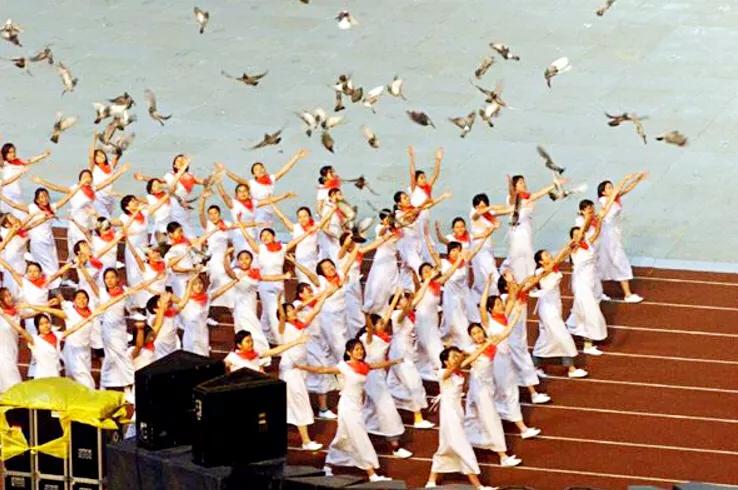 和平鸽~和平、友谊、团结、圣洁的象征