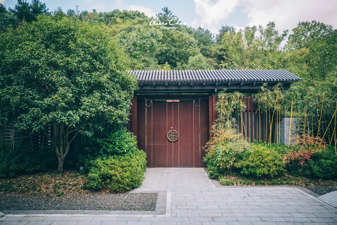 这是湖边度假酒店的性价比天花板！还有双11玩法剧透