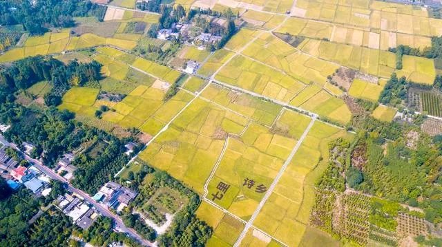 到阳澄湖蟹庄品尝正宗生态大闸蟹,都江堰哪里吃大闸蟹最好