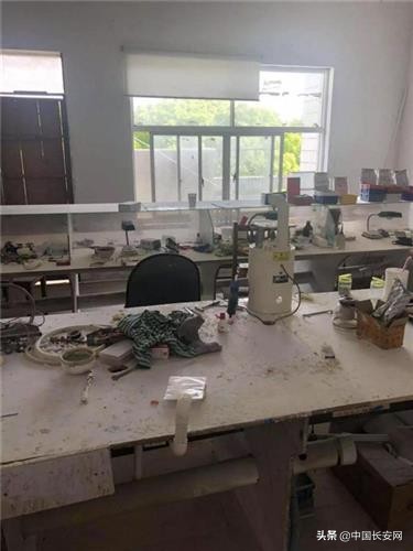 浦东一制假窝点被捣毁,上海浦东警方抓捕制假售假