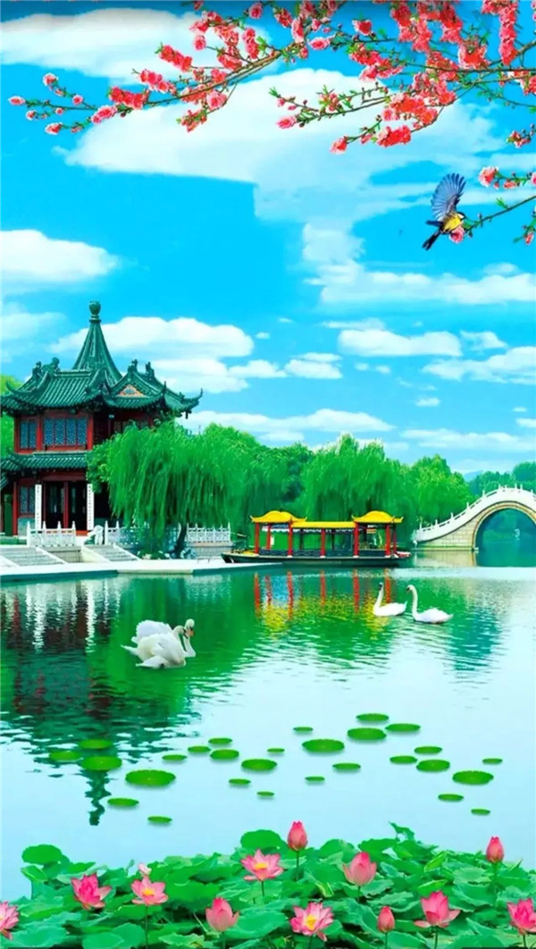 送你一张绝美壁纸,送你一张超美竖屏壁纸