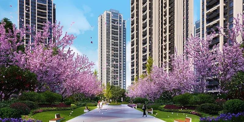 南充会展片区新楼盘,南充最有发展潜力的板块