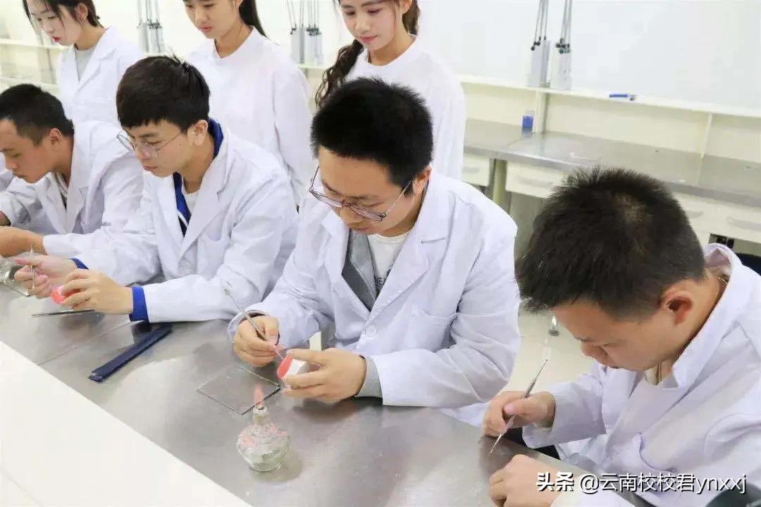 云南口腔专业学校哪个比较好,云南哪家大专口腔医学好