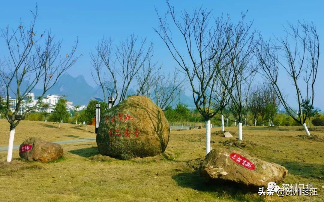广西贺州免费景区,贺州景区公园