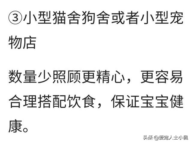新手养狗怎么注意犬瘟细小,细小很严重如何判断狗狗得了细小