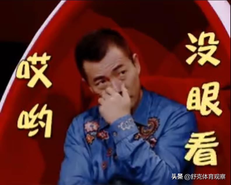 詹俊欧洲杯评述,詹俊谈德甲