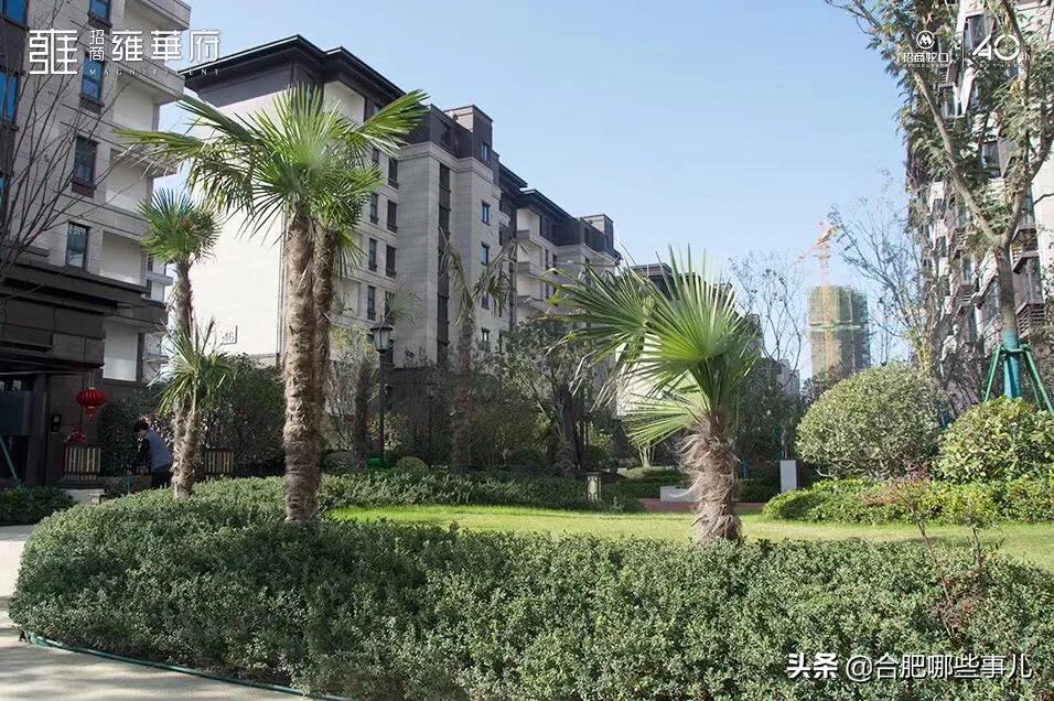 合肥招商雍华府最新价格表,合肥滨湖省府招商雍华府商铺