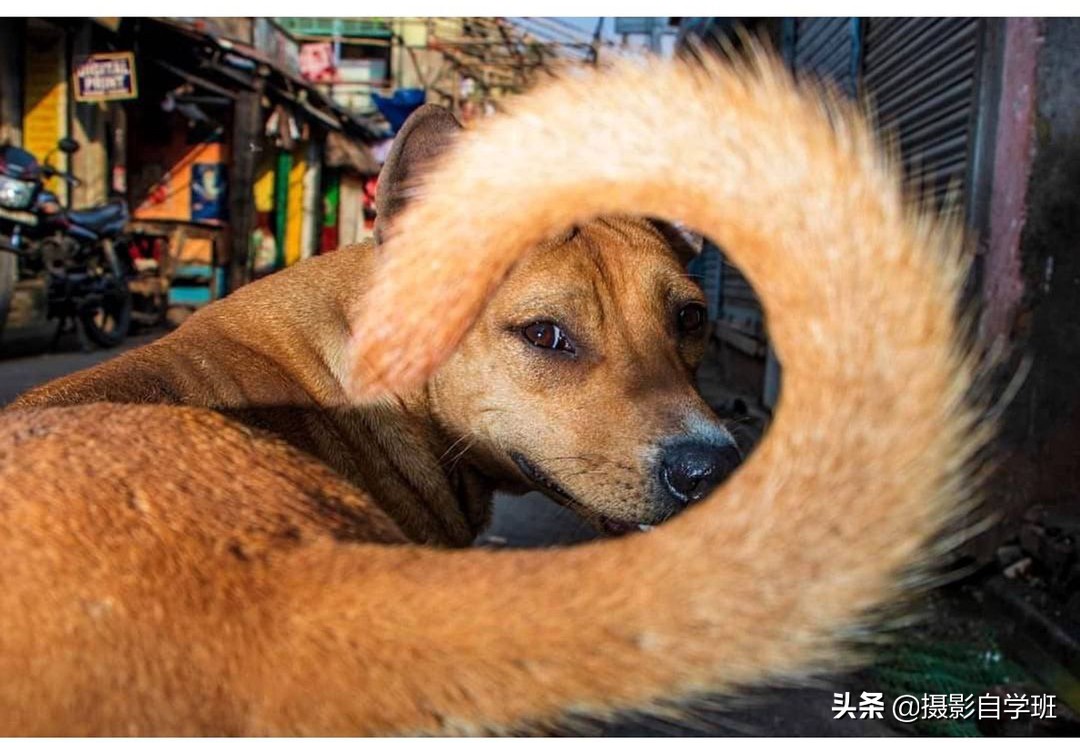 普通人也能拍好照片,把普通生活拍出高级感