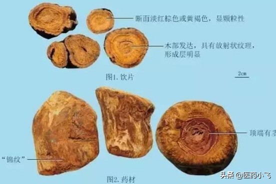 每日医药,一味大黄治疗疑难怪病奇效医案