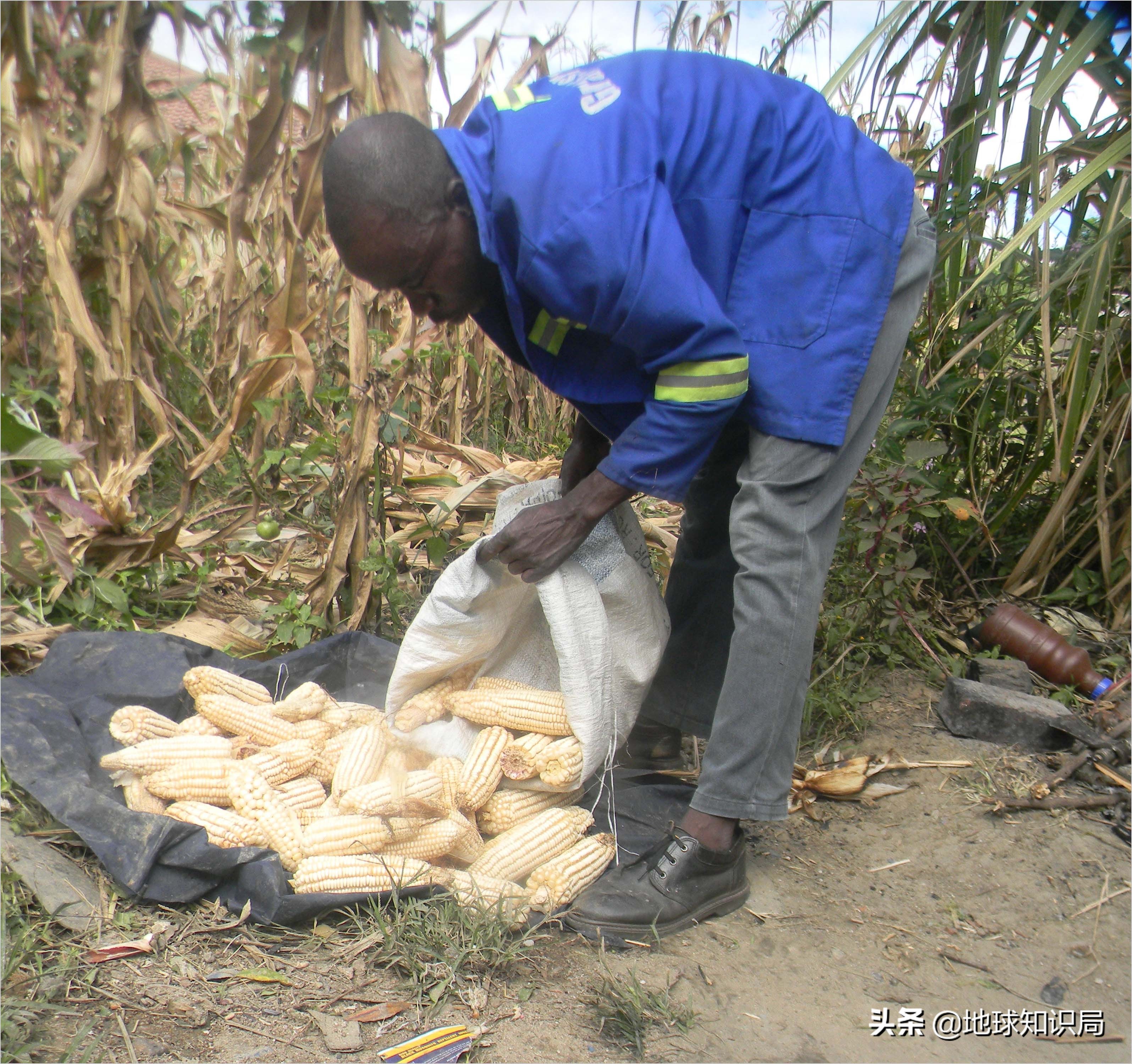 非洲，正在挨饿，无人关心|地球知识局