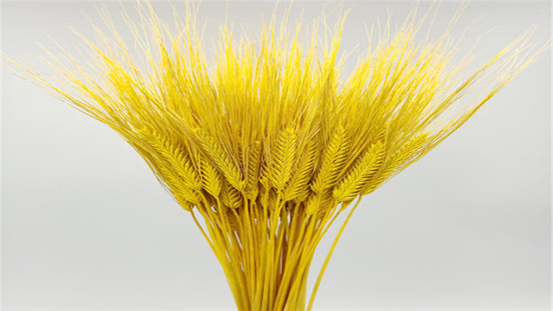 搭配向日葵的开业花篮,开业花篮鲜花和麦穗搭配