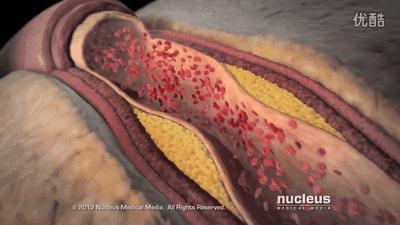 颐年堂国医馆胡国华,武汉颐年堂国医馆胡国华教授资料