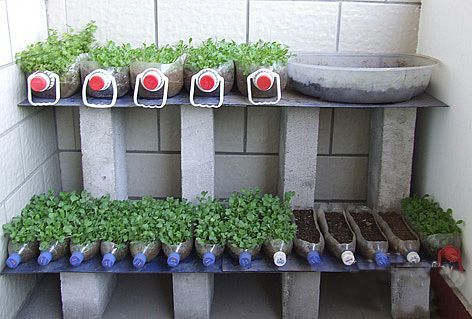 如何选阳台花卉盆种菜,阳台菜种植盆