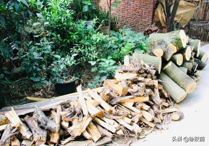 校园生活回眸（三）——徐跃前