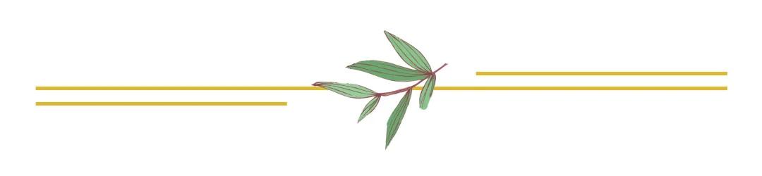 五一假期从化旅游攻略,夏季从化二日一夜旅游攻略