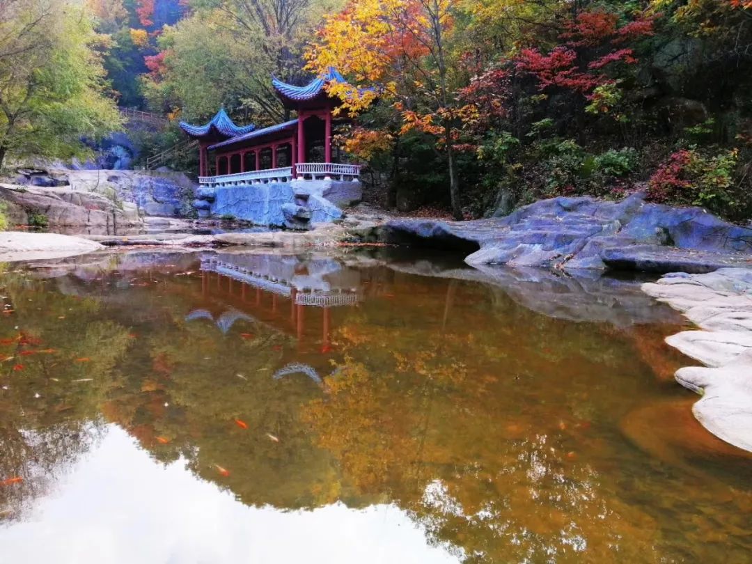 西泰山的特点是什么,西泰山为啥叫西泰山