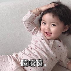 单招必备知识点有哪些,单招百宝箱