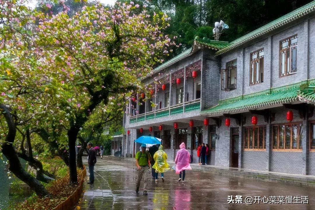 肇庆七星岩景区可以玩多久,全国最便宜的5a级景区