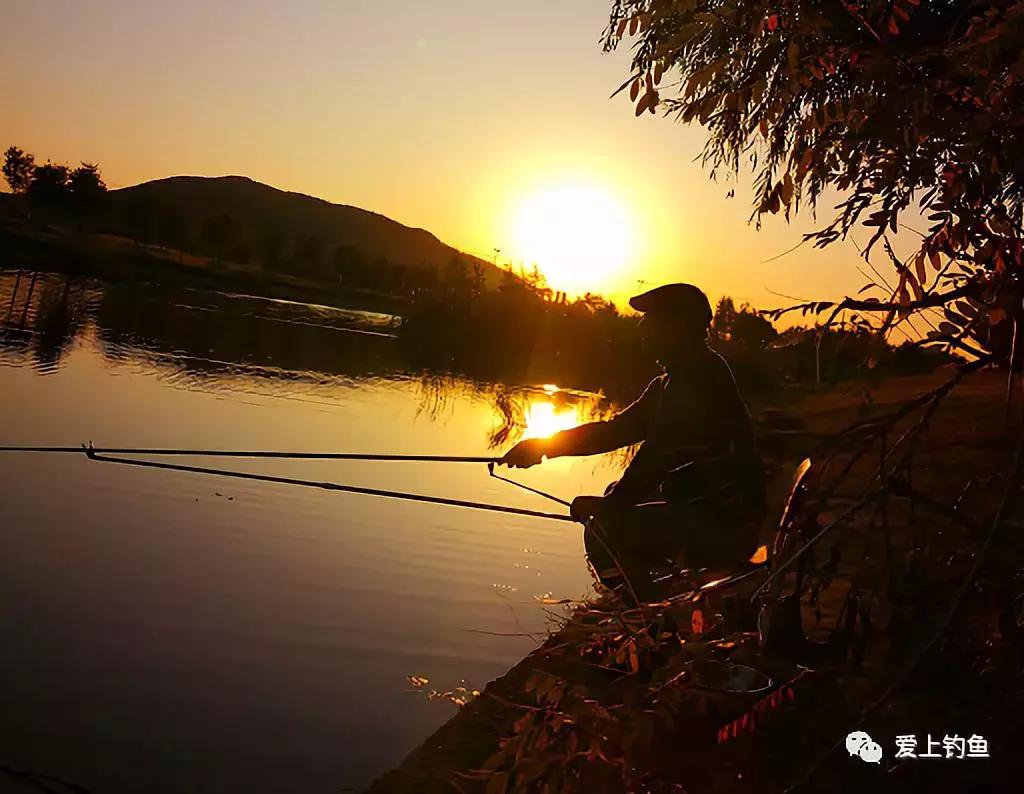 鱼竿企业大揭秘,鱼竿行业深度解析